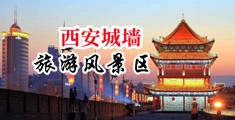 操美国女人的骚逼中国陕西-西安城墙旅游风景区
